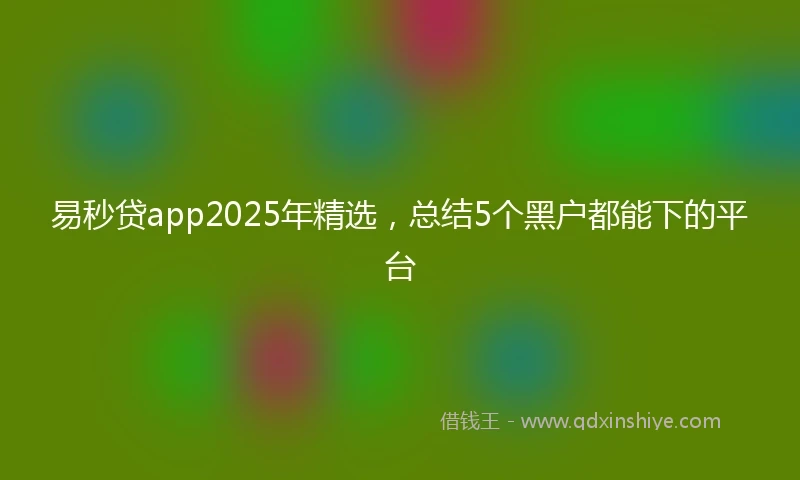 易秒贷app2025年精选，总结5个黑户都能下的平台