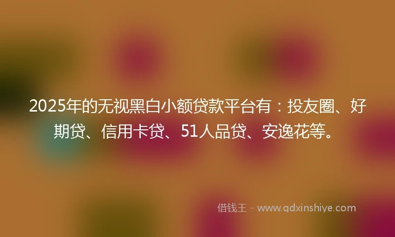 2025年的无视黑白小额贷款平台有：投友圈、好期贷、信用卡贷、51人品贷、安逸花等。