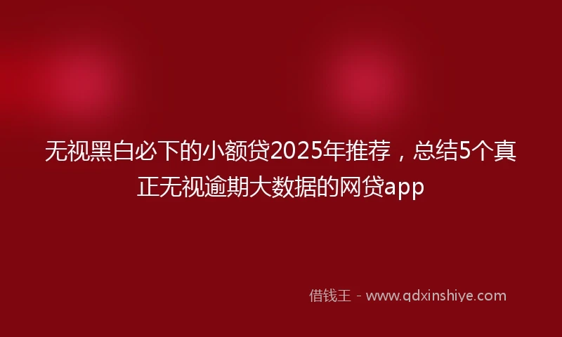 无视黑白必下的小额贷2025年推荐，总结5个真正无视逾期大数据的网贷app