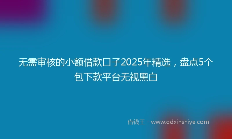 无需审核的小额借款口子2025年精选，盘点5个包下款平台无视黑白