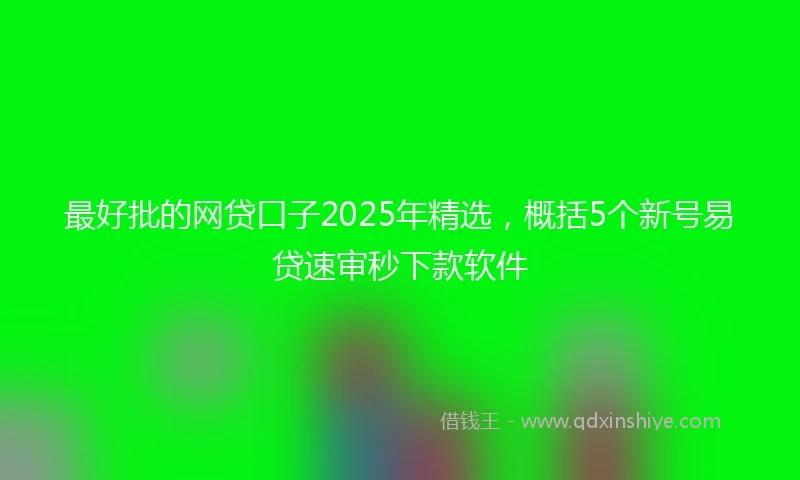 最好批的网贷口子2025年精选，概括5个新号易贷速审秒下款软件