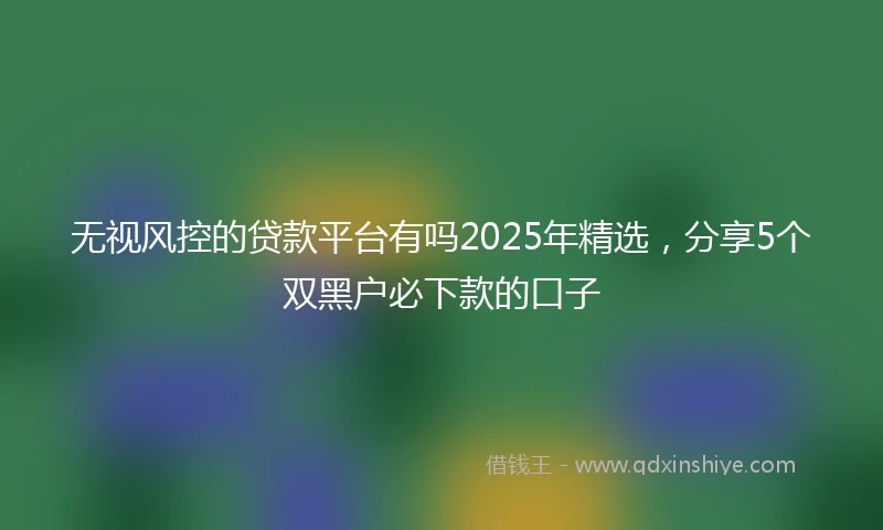无视风控的贷款平台有吗2025年精选，分享5个双黑户必下款的口子