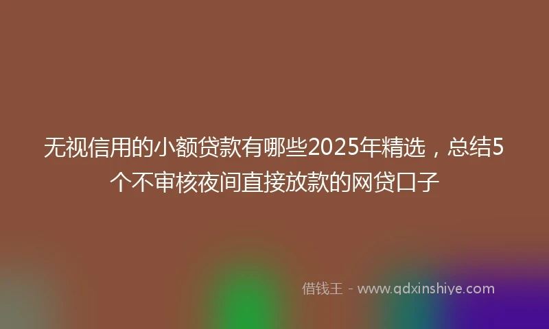 无视信用的小额贷款有哪些2025年精选，总结5个不审核夜间直接放款的网贷口子