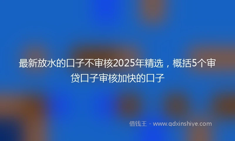最新放水的口子不审核2025年精选，概括5个审贷口子审核加快的口子