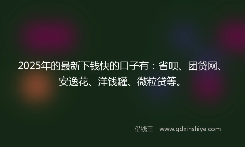 2025年的最新下钱快的口子有：省呗、团贷网、安逸花、洋钱罐、微粒贷等。