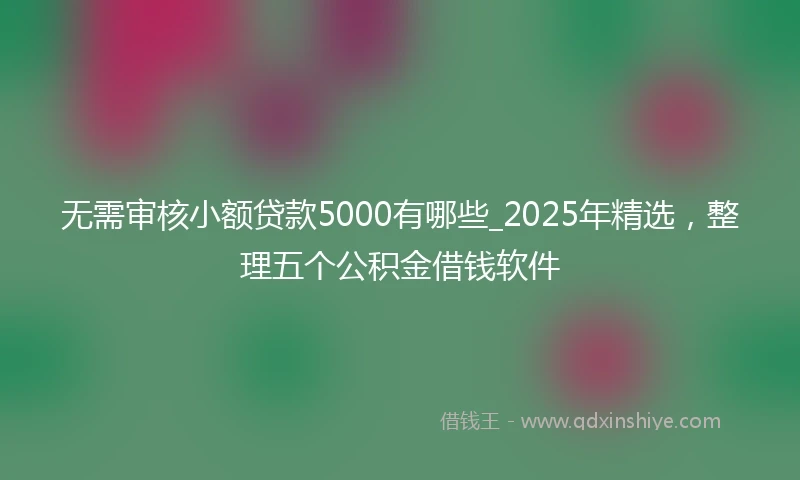 无需审核小额贷款5000有哪些_2025年精选，整理五个公积金借钱软件
