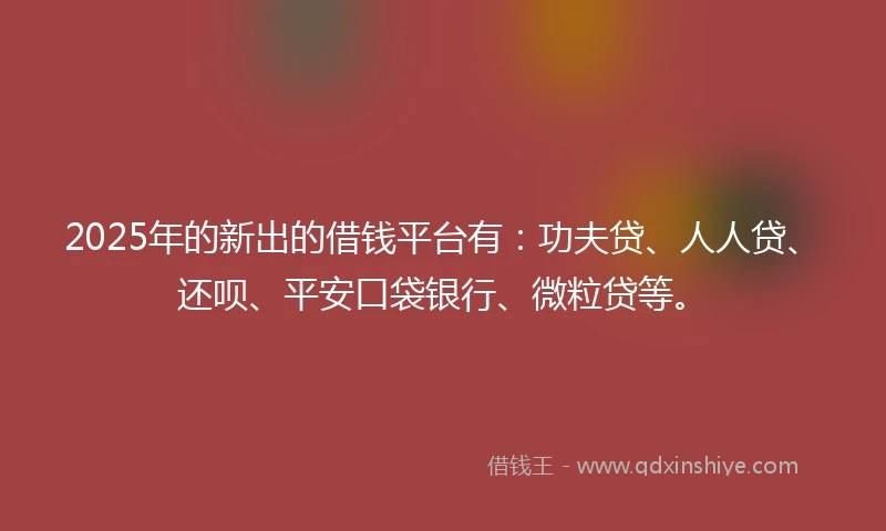 2025年的新出的借钱平台有：功夫贷、人人贷、还呗、平安口袋银行、微粒贷等。