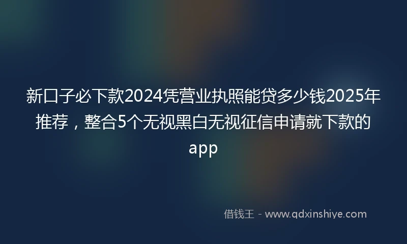 新口子必下款2024凭营业执照能贷多少钱2025年推荐，整合5个无视黑白无视征信申请就下款的app