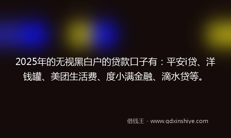 2025年的无视黑白户的贷款口子有：平安i贷、洋钱罐、美团生活费、度小满金融、滴水贷等。