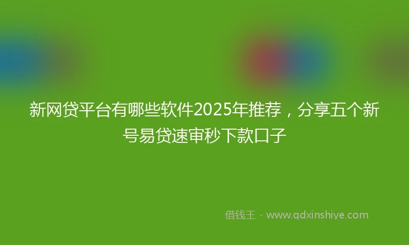 新网贷平台有哪些软件2025年推荐，分享五个新号易贷速审秒下款口子