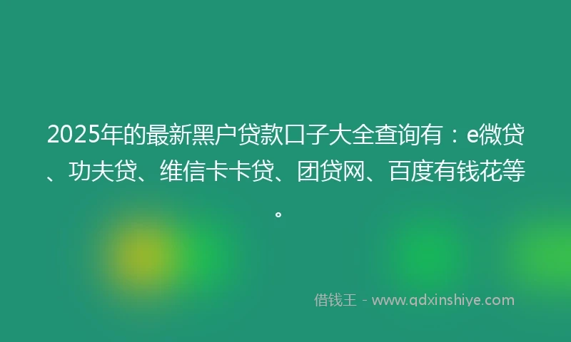 2025年的最新黑户贷款口子大全查询有：e微贷、功夫贷、维信卡卡贷、团贷网、百度有钱花等。