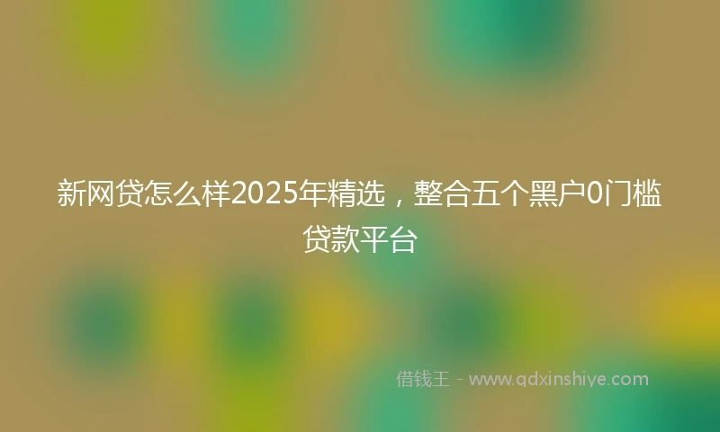 新网贷怎么样2025年精选，整合五个黑户0门槛贷款平台