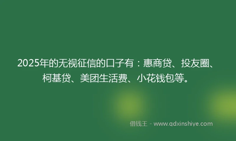 2025年的无视征信的口子有：惠商贷、投友圈、柯基贷、美团生活费、小花钱包等。