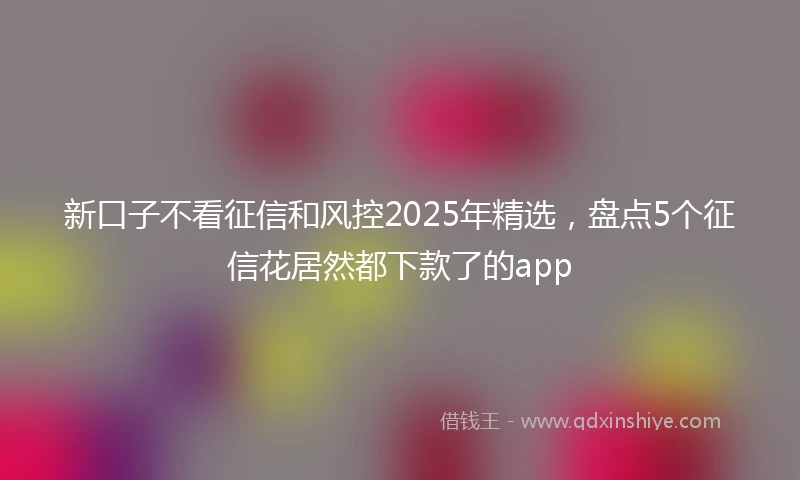 新口子不看征信和风控2025年精选，盘点5个征信花居然都下款了的app