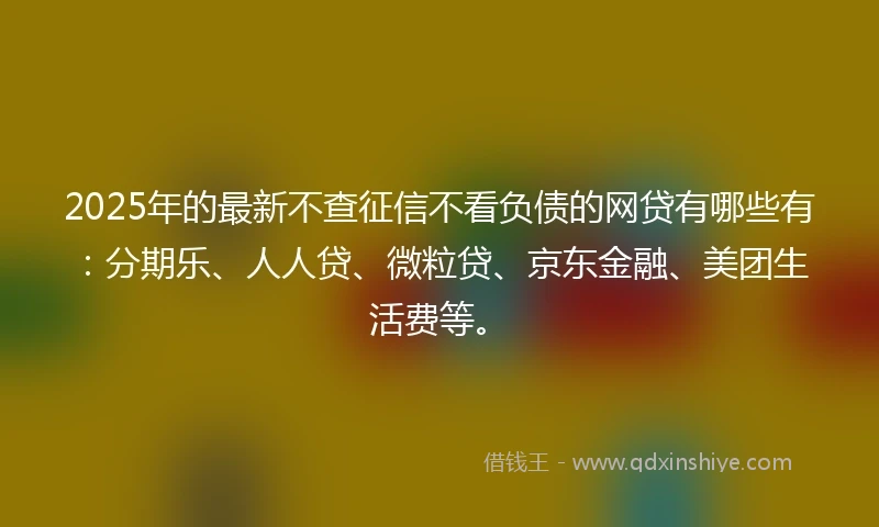 2025年的最新不查征信不看负债的网贷有哪些有：分期乐、人人贷、微粒贷、京东金融、美团生活费等。