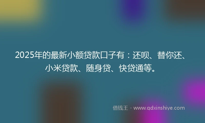 2025年的最新小额贷款口子有：还呗、替你还、小米贷款、随身贷、快贷通等。