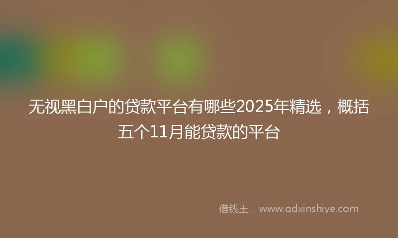 无视黑白户的贷款平台有哪些2025年精选，概括五个11月能贷款的平台