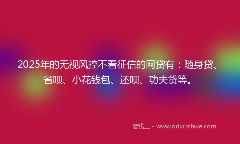 2025年的无视风控不看征信的网贷有：随身贷、省呗、小花钱包、还呗、功夫贷等。