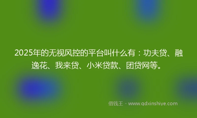 2025年的无视风控的平台叫什么有：功夫贷、融逸花、我来贷、小米贷款、团贷网等。