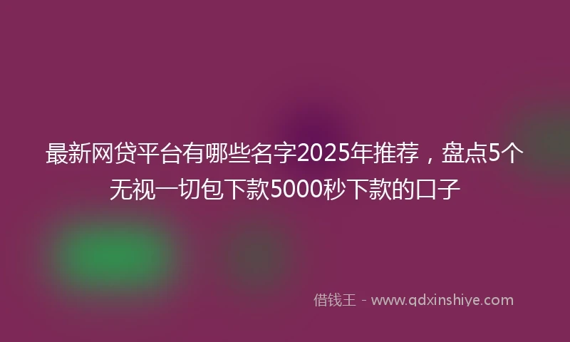 最新网贷平台有哪些名字2025年推荐，盘点5个无视一切包下款5000秒下款的口子