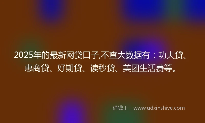 2025年的最新网贷口子,不查大数据有：功夫贷、惠商贷、好期贷、读秒贷、美团生活费等。