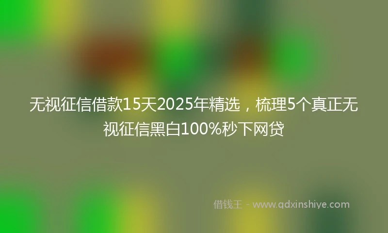 无视征信借款15天2025年精选，梳理5个真正无视征信黑白100%秒下网贷