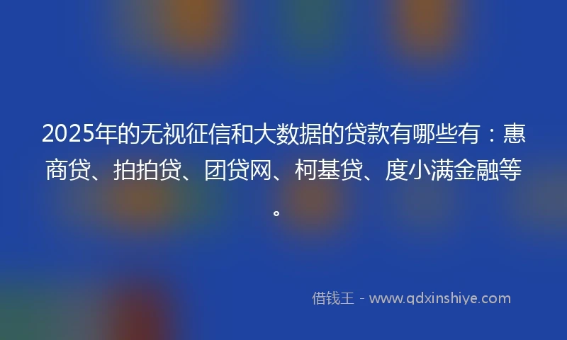 2025年的无视征信和大数据的贷款有哪些有：惠商贷、拍拍贷、团贷网、柯基贷、度小满金融等。