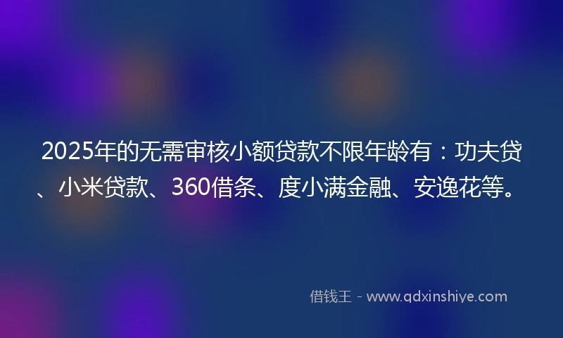 2025年的无需审核小额贷款不限年龄有：功夫贷、小米贷款、360借条、度小满金融、安逸花等。