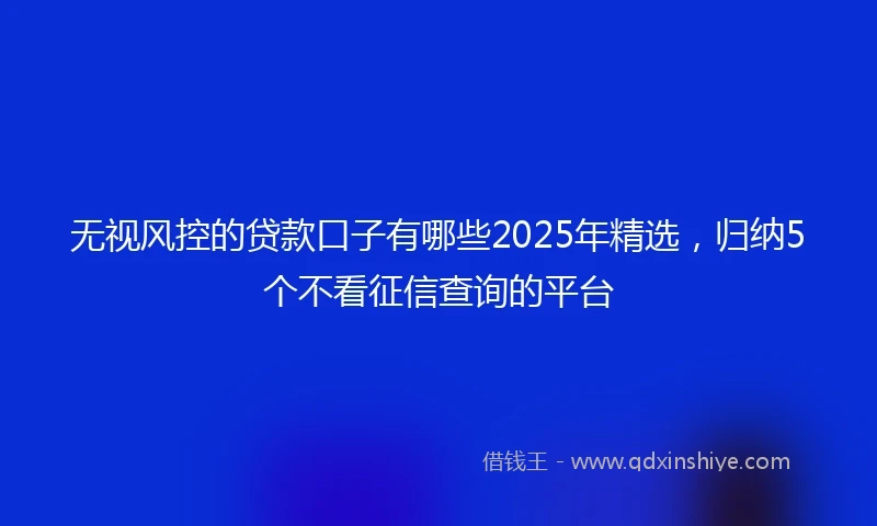 无视风控的贷款口子有哪些2025年精选，归纳5个不看征信查询的平台