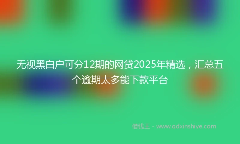 无视黑白户可分12期的网贷2025年精选，汇总五个逾期太多能下款平台