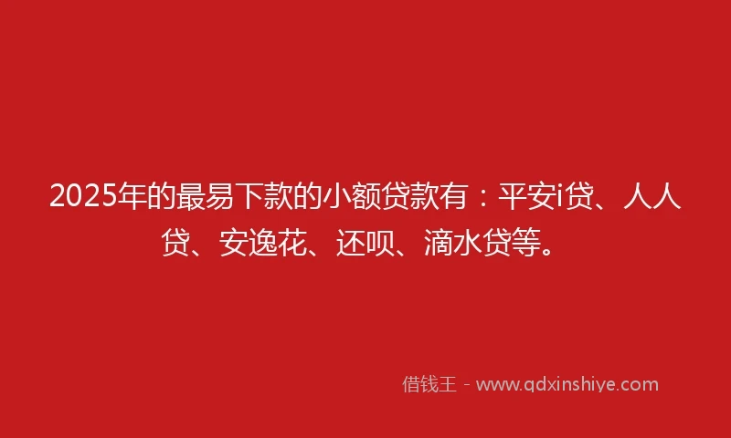 2025年的最易下款的小额贷款有：平安i贷、人人贷、安逸花、还呗、滴水贷等。