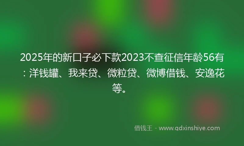 2025年的新口子必下款2023不查征信年龄56有：洋钱罐、我来贷、微粒贷、微博借钱、安逸花等。
