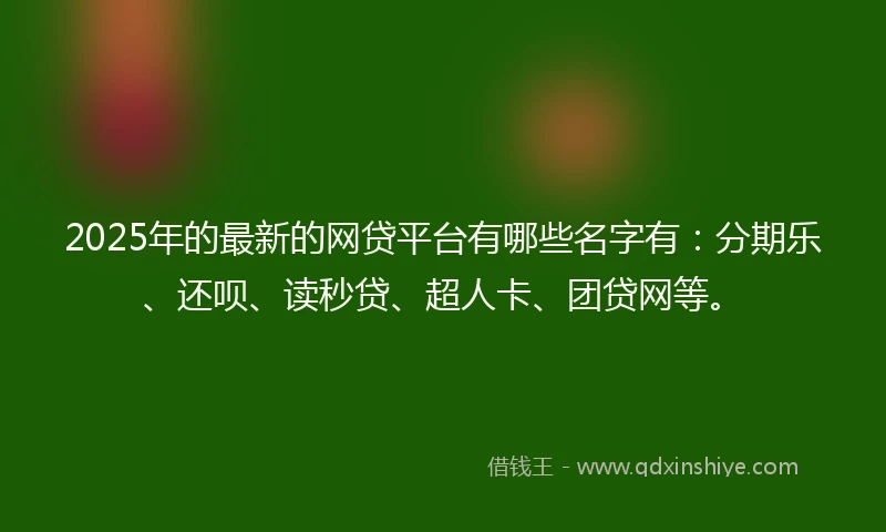 2025年的最新的网贷平台有哪些名字有：分期乐、还呗、读秒贷、超人卡、团贷网等。