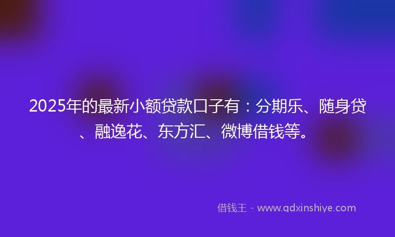2025年的最新小额贷款口子有：分期乐、随身贷、融逸花、东方汇、微博借钱等。