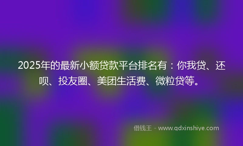 2025年的最新小额贷款平台排名有：你我贷、还呗、投友圈、美团生活费、微粒贷等。