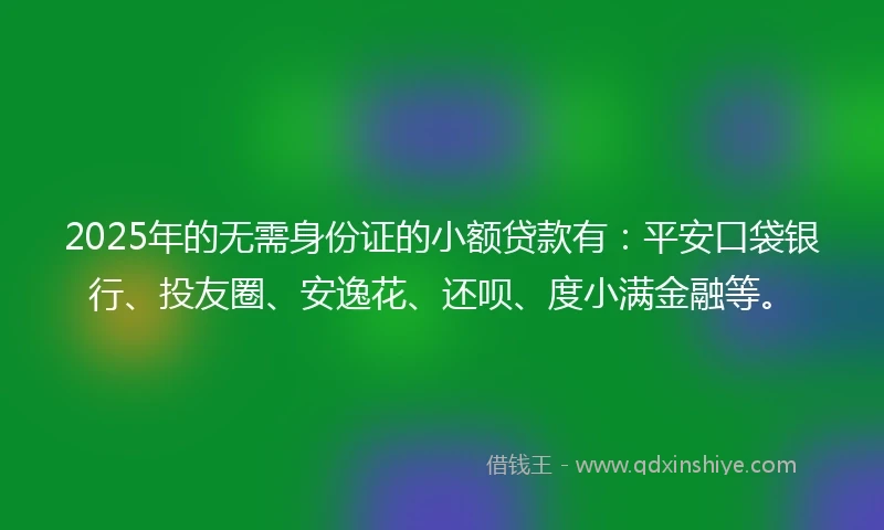 2025年的无需身份证的小额贷款有：平安口袋银行、投友圈、安逸花、还呗、度小满金融等。