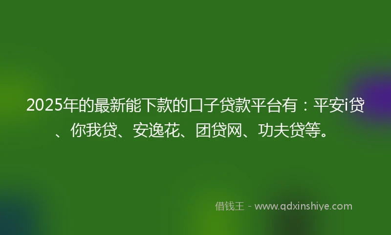 2025年的最新能下款的口子贷款平台有：平安i贷、你我贷、安逸花、团贷网、功夫贷等。