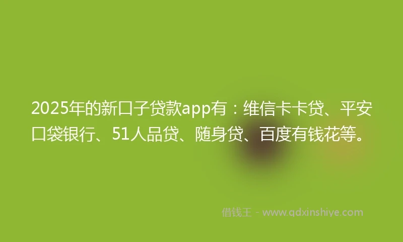 2025年的新口子贷款app有：维信卡卡贷、平安口袋银行、51人品贷、随身贷、百度有钱花等。