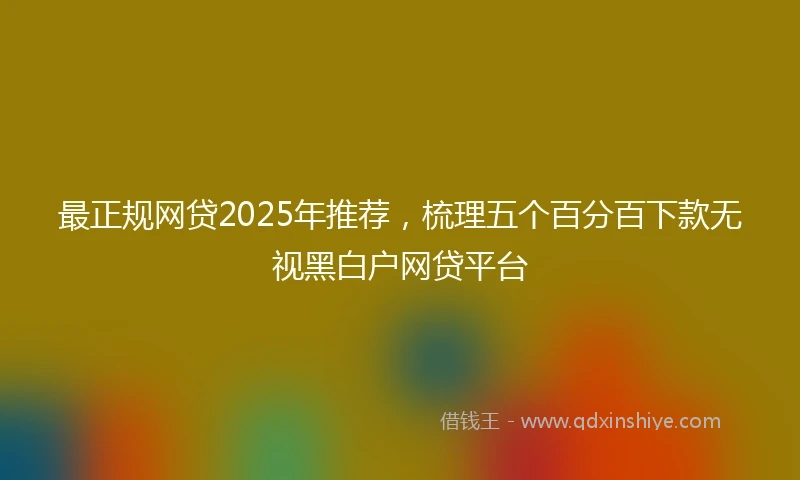 最正规网贷2025年推荐，梳理五个百分百下款无视黑白户网贷平台