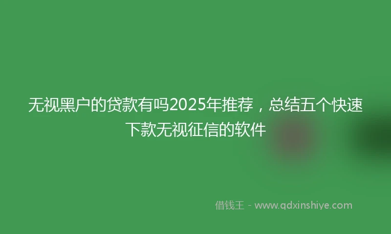 无视黑户的贷款有吗2025年推荐,总结五个快速下款无视征信的软件