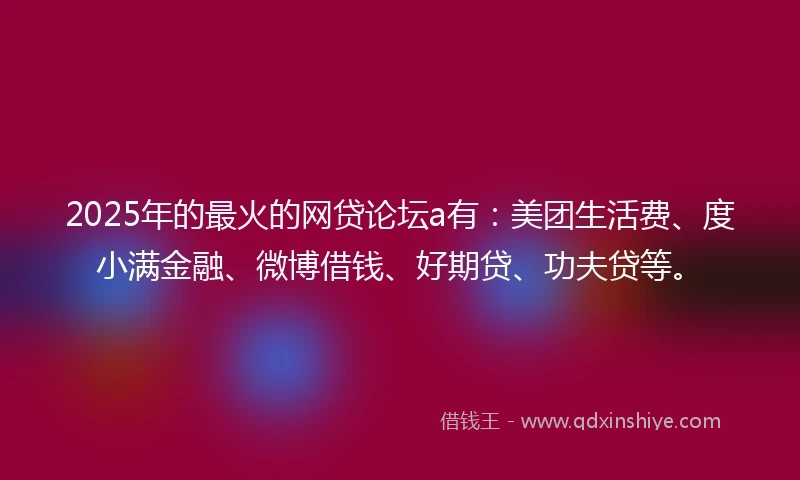 2025年的最火的网贷论坛a有：美团生活费、度小满金融、微博借钱、好期贷、功夫贷等。