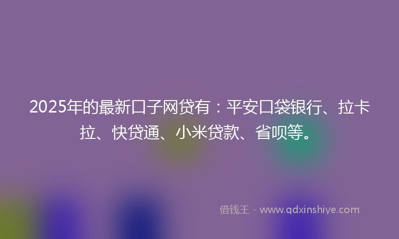 2025年的最新口子网贷有：平安口袋银行、拉卡拉、快贷通、小米贷款、省呗等。