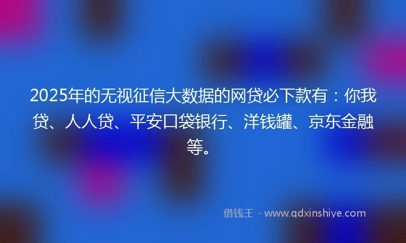2025年的无视征信大数据的网贷必下款有：你我贷、人人贷、平安口袋银行、洋钱罐、京东金融等。