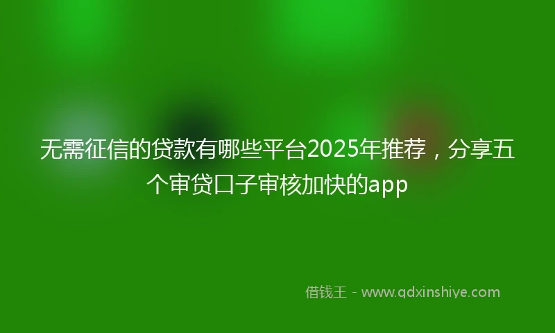 无需征信的贷款有哪些平台2025年推荐，分享五个审贷口子审核加快的app