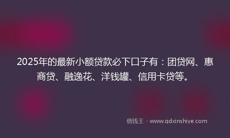 2025年的最新小额贷款必下口子有：团贷网、惠商贷、融逸花、洋钱罐、信用卡贷等。