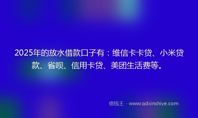 2025年的放水借款口子有:维信卡卡贷、小米贷款、省呗、信用卡贷、美团生活费等。
