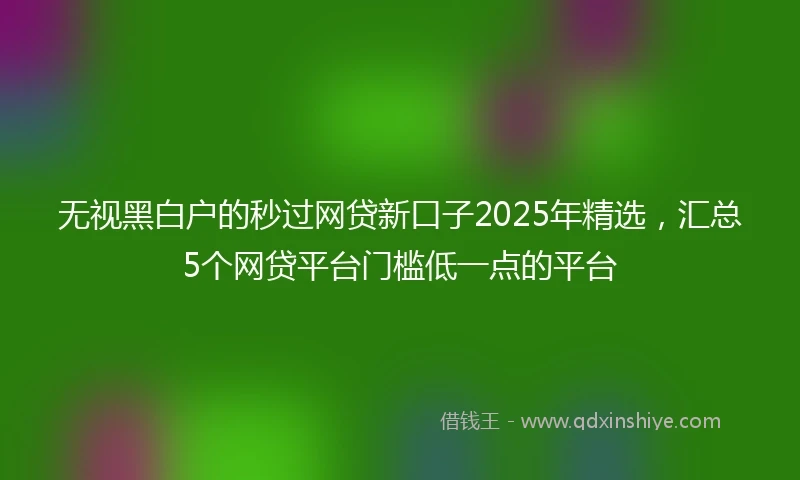 无视黑白户的秒过网贷新口子2025年精选,汇总5个网贷平台门槛低一点的平台