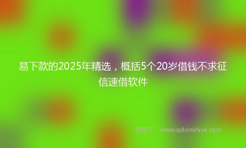 易下款的2025年精选，概括5个20岁借钱不求征信速借软件