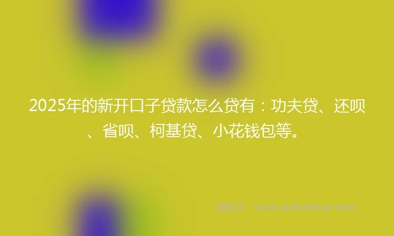 2025年的新开口子贷款怎么贷有：功夫贷、还呗、省呗、柯基贷、小花钱包等。