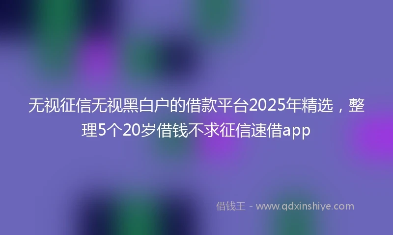 无视征信无视黑白户的借款平台2025年精选，整理5个20岁借钱不求征信速借app